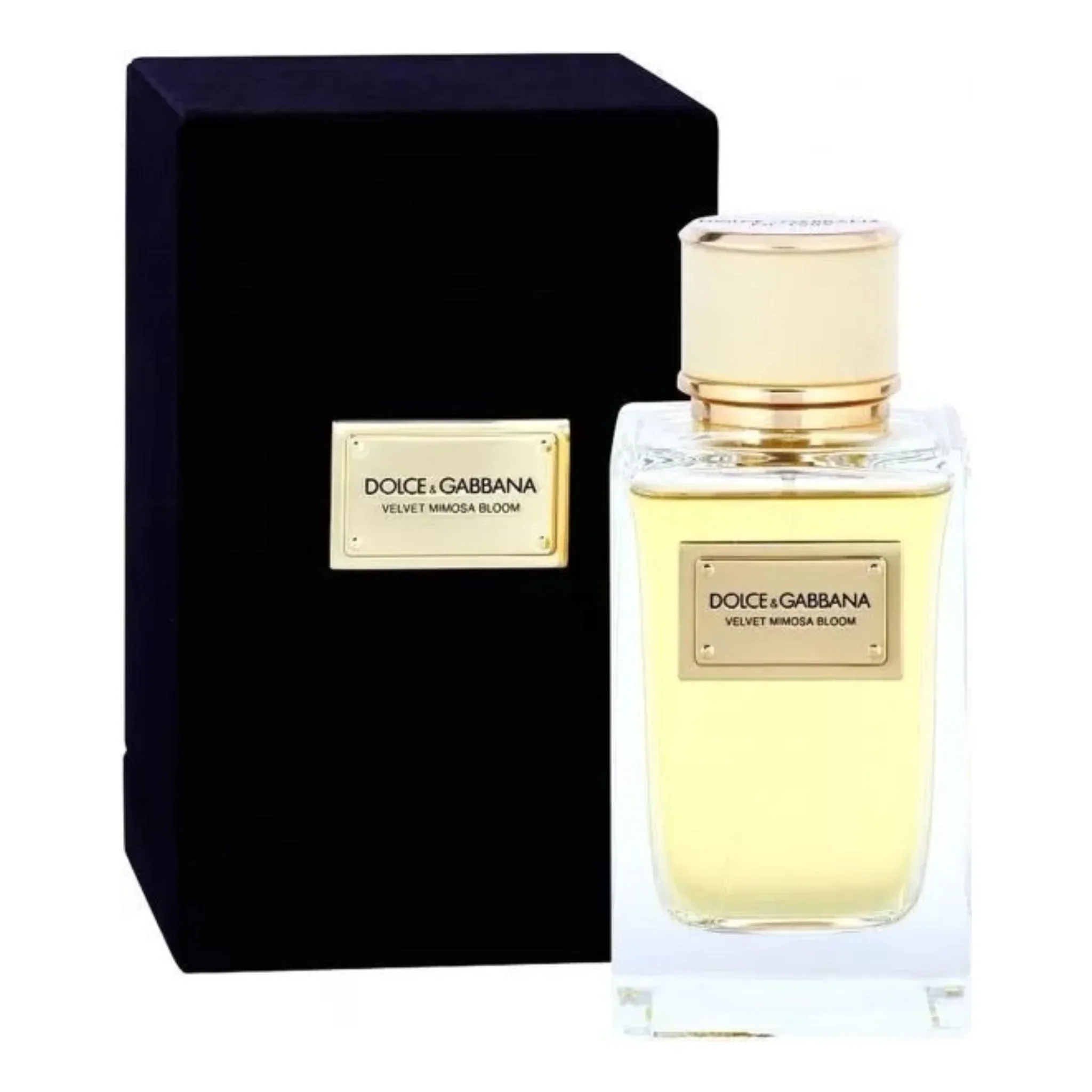 Dolce & Gabbana Velvet Mimosa Bloom Eau de Parfum for Women