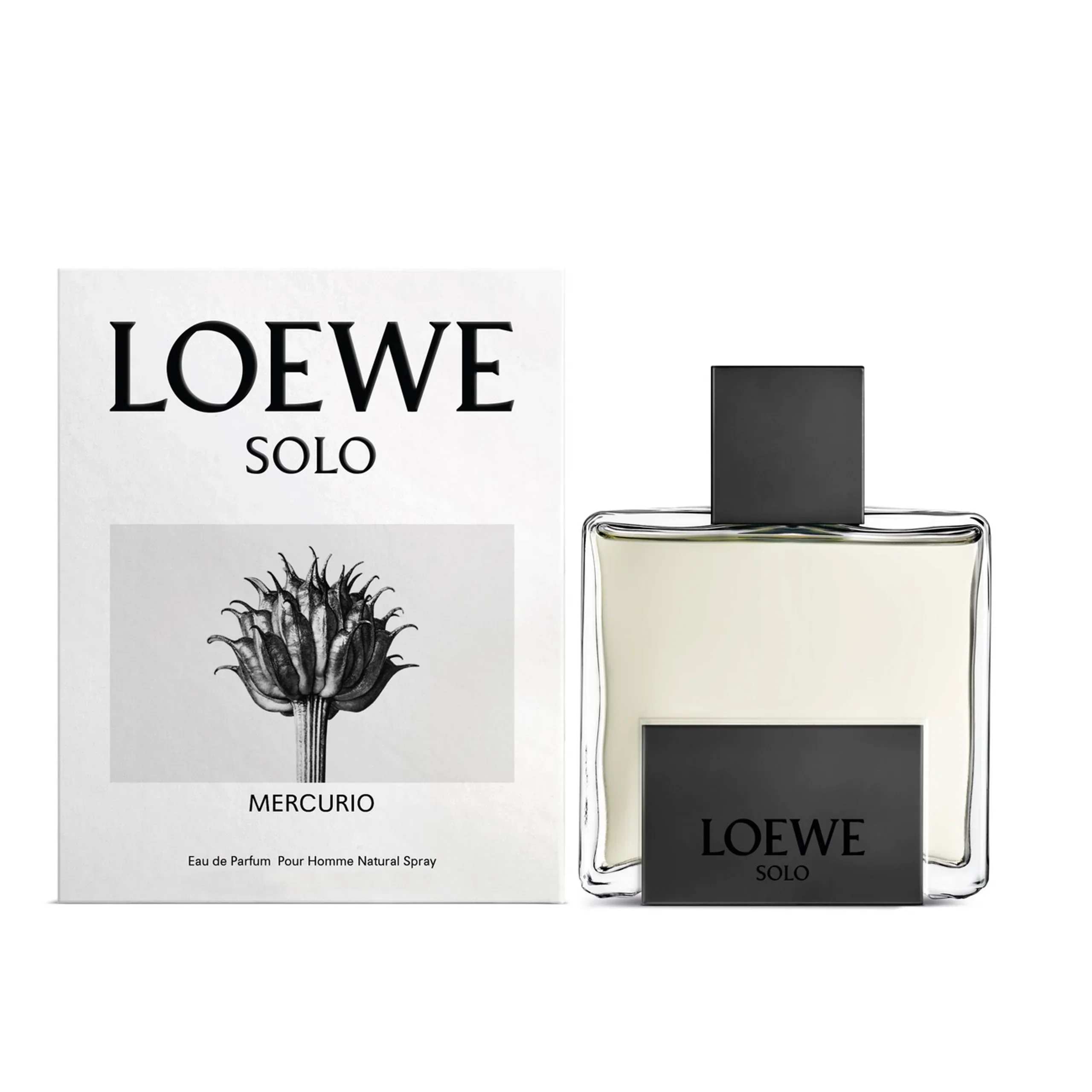 Loewe Solo Mercurio Eau de Parfum for Men